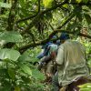 Un grupo de persoas montando a cabalo pola selva do Salto La Jalda.