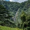 O Salto La Jalda (sendeirismo e natación) flúe con gracia no medio dun bosque verde vibrante.