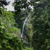 Fervenza de Salto La Jalda no medio dunha selva verde exuberante.