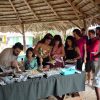 ⁦Samaná Cayo Levantado (Bacardi Island) and Whale Watching from Miches in Catamaran⁩ – תמונה ⁦8⁩