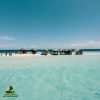 Paradise Island & The Mangroves, Snorkeling (Cayo Arena) Day Pass. Half Day Trip. - Image 7