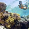 Catalina Island & Altos de Chavon From Punta Cana (Snorkeling with Catamaran Party) - Image 14