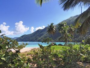 (Ermitano Beach) Playa Ermitaño ნავით ტური და Playa Onda, ნახევარდღიანი მოგზაურობა, Samaná - დომინიკის რესპუბლიკა.