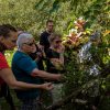 Live the Jungle in Los Haitises Waterfalls Yanigua - Image 4