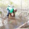 Mangroves Reforestation in Los Haitises With Locals on Kayak - Image 25