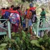 Mangroves Reforestation in Los Haitises With Locals on Kayak – Image 30