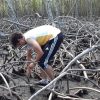 Mangroves Reforestation in Los Haitises With Locals on Kayak - Image 31