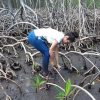 Mangroves Reforestation in Los Haitises With Locals on Kayak – Image 33