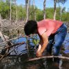 Mangroves Reforestation in Los Haitises With Locals on Kayak - Image 28