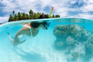 cayo levantado Snorkel