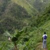 Hiking trails in Barahona (Dominican Republic). Cachote Mountains, Tropical Fruits & Swim - Image 13