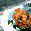 playa de Paraiso barahona