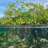 Sabana de la Mar:  Los Haitises ATV Ride & Kayaking - Image 5