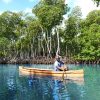 Taino’s Canoe Los Haitises - Bild 5