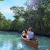 Taino’s Canoe Los Haitises - Image 6