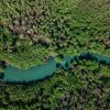 Taino’s Canoe Los Haitises - Bild 8