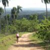 Bicycletour Εθνικό Πάρκο Λος Χαϊτίς