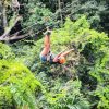 27 waterfalls zip line (Hiking and Swimming) - Image 16