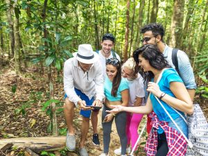 Vandring i Los Haitises nationalpark från Punta Cana