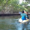 Los Haitises Retki Kajakki Tour in kajakit los haitises cano hondo 1 skaalattu