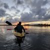 Los Haitises Excursion Kayak Tour in Kayaks los haitises cano hondo 26 scaled