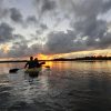 Los Haitises Retki Kajakki Tour in kajakit los haitises cano hondo 30 skaalattu