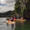 Los Haitises Retki Kajakki Tour in kajakit los haitises cano hondo 5 skaalattu