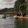 Los Haitises Retki kajakki Tour in kajakit los haitises cano hondo 7 suomutettu