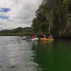 Los Haitises Retki Kajakki Tour in kajakit los haitises cano hondo 8 skaalattu