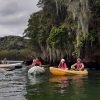 Los Haitises Excursion Kayak Tour in Kayaks los haitises cano hondo 9 scaled