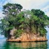 Sabana de la Mar:  Los Haitises ATV Ride & Kayaking - 图片 8