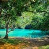 Los Haitises: Cueva el Naranjo y Laguna Cristal from Sabana de la mar - 图片 5