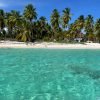 Saona Island: Small Group Virgin Beaches Cruise Day Trip - Görsel 3