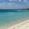 Saona Island Full-Day Tour with Lunch from Punta Cana - Image 3