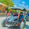 Dune Buggy and ATV Adventure in Punta Cana Beach Macao - Hình ảnh 3