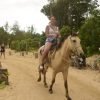 Horseback riding, coffee, chocolate tasting and Macao beach - Image 2