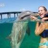 Punta Cana Dolphin Swim Adventure: 40-min Dolphin Experience - Hình ảnh 3