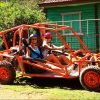 Punta Cana: Buggy Ride, Macao Beach, and Cenote Tour - Image 3