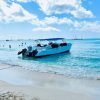 Excursion to Saona Island: Tropical Paradise whit Lunch - immagine 7