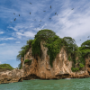 Los Haitises Boat Ride + Caño Hondo Natural Pools - Afbeelding 2