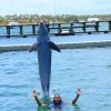 Punta Cana Dolphin Swim Adventure: 40-min Dolphin Experience - Hình ảnh 19