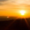 Punta Cana: Sunset Horseback Ride in Macao Beach and Forest - Image 3