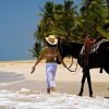 Punta Cana: Horseback Riding Through the Beautiful Beaches - Görsel 3