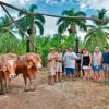 Punta Cana: Bavaro Runners Safari Tour - Hình ảnh 4