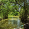 Los Haitises Boat Ride + Caño Hondo Natural Pools - Afbeelding 4