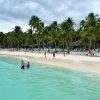 Excursion to Saona Island: Tropical Paradise whit Lunch - Görsel 14