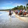 Punta Cana: Horseback Riding Through the Beautiful Beaches - Görsel 4