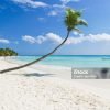 Punta Cana: Saona Island Cruise with Lunch & Open Bar - Image 5