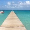 Punta Cana: Saona Island Day Trip with VIP Option - Image 5