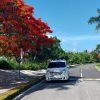 Private Transfer from Serenade Punta Cana to SDQ - Image 5